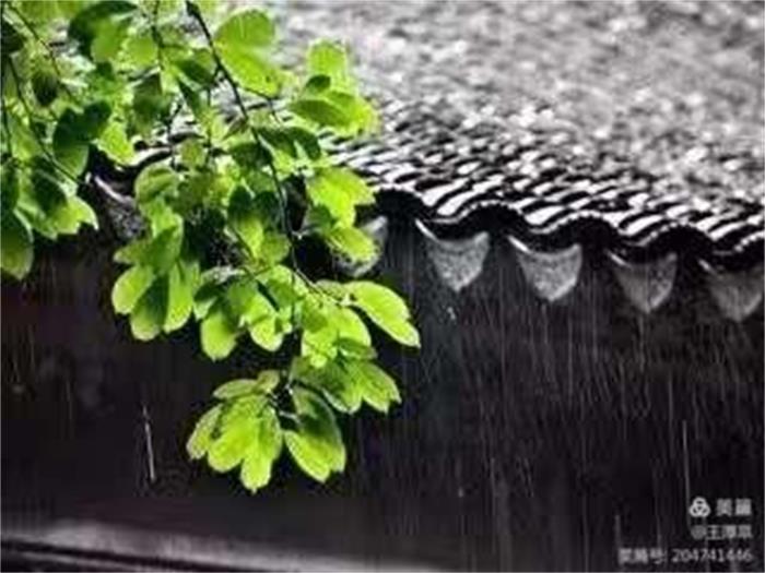 高虹//张希诵读《秋夜听雨》 作者：任学路（图5）