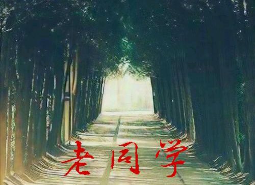 【散文】《归乡: 半生风雨路，寸草报春晖——记我的好友同学王金龙先生》作者:强军/陕西宝鸡（图5）