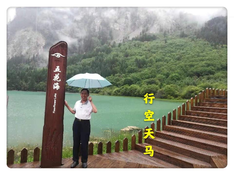 【翰林国粹诗社】诗人陈衍统个人专辑(三十)咏百花专刊(实花系列三)(图2)