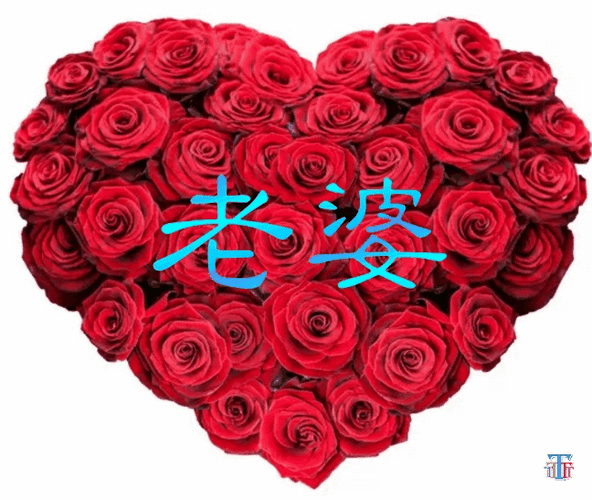 东方书剑的《五律・七夕节致老妻​》