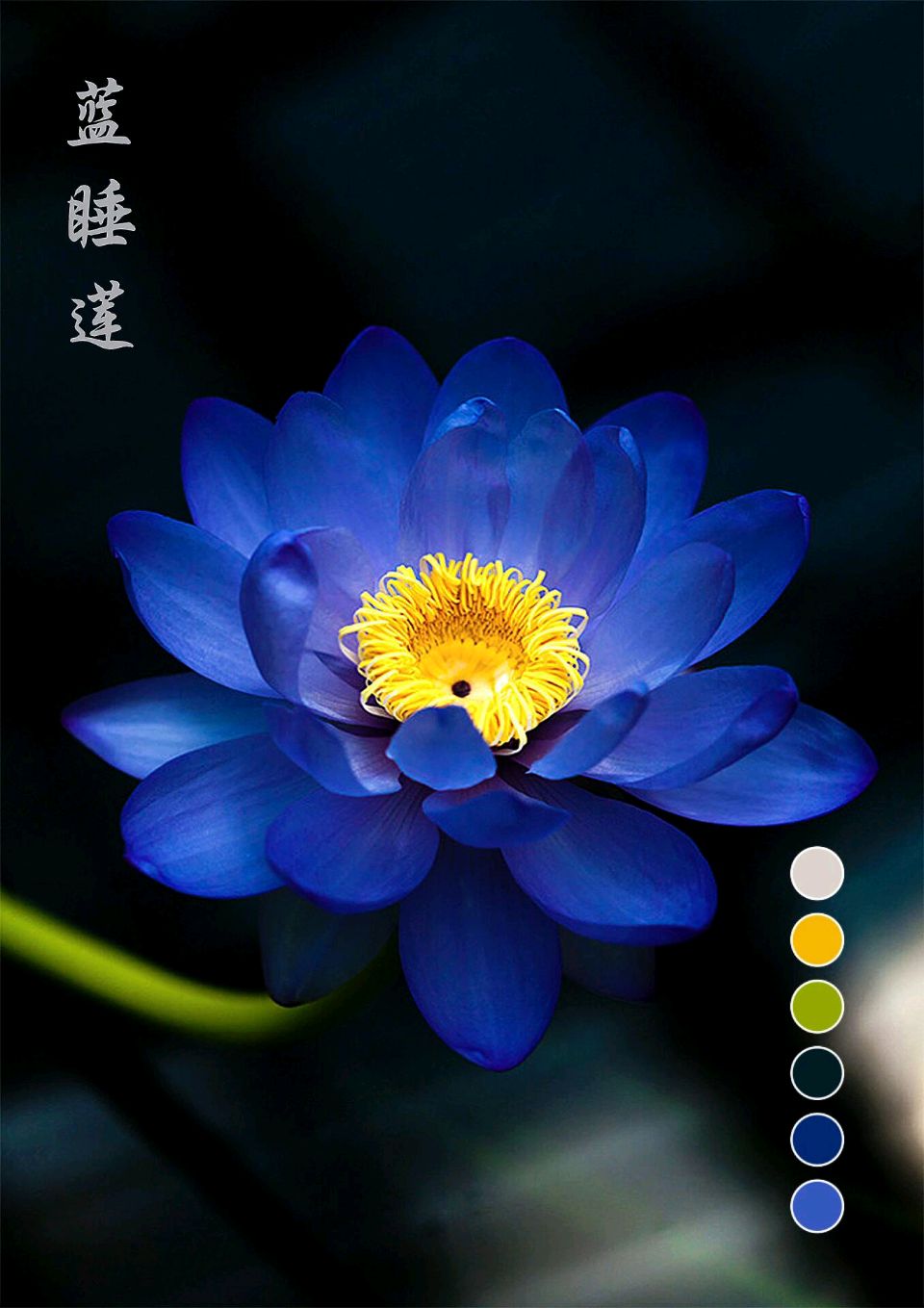 卫水洲的《认识你真好》