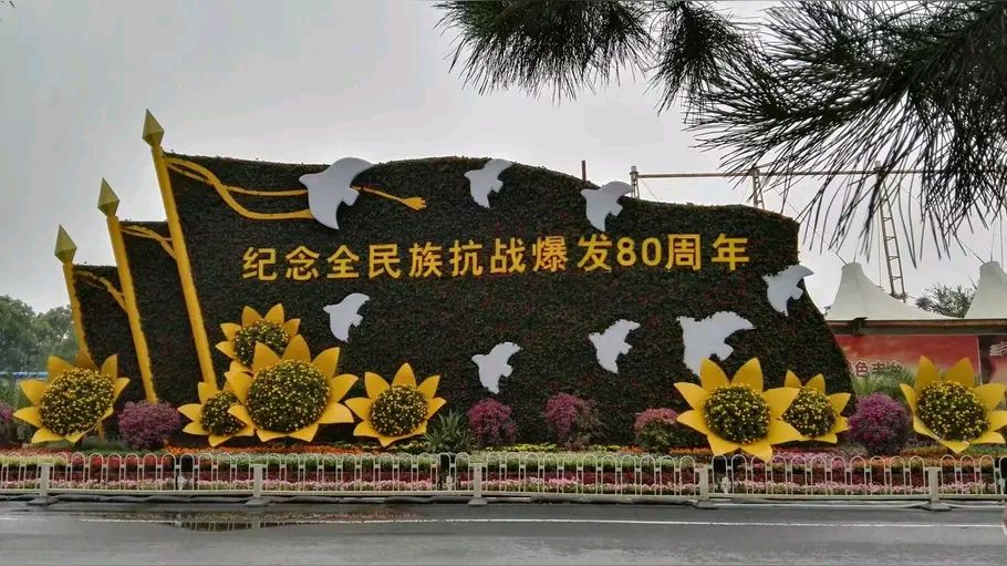 「短篇纪实文学」铁血忠魂:抗战岁月的激昂长歌