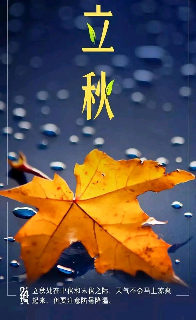 一叶知秋的思念