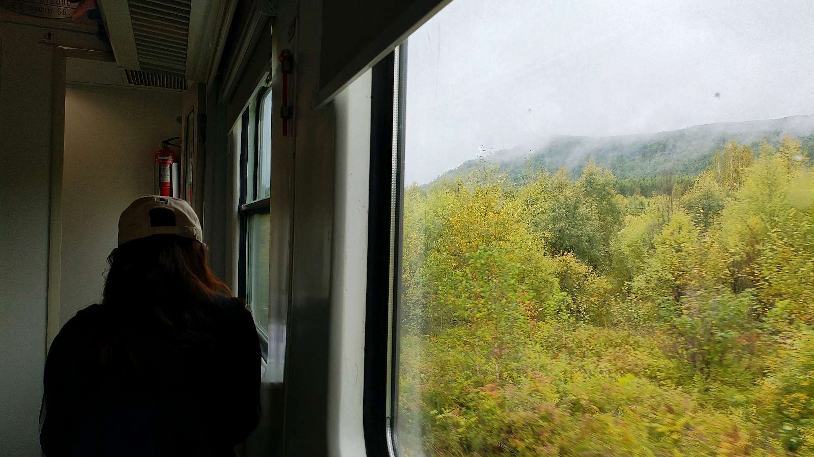 【林园札记】慰籍心灵的旅途