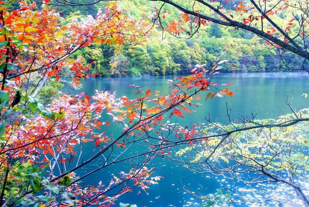 秋，这个季节（3）‖巴彦诗协【976】（图3）