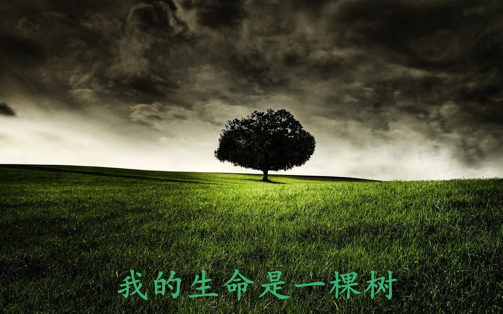 梁晓东//张希 //黄莉端《我的生命是一棵树》(3) 作者:碑林路人(图5)