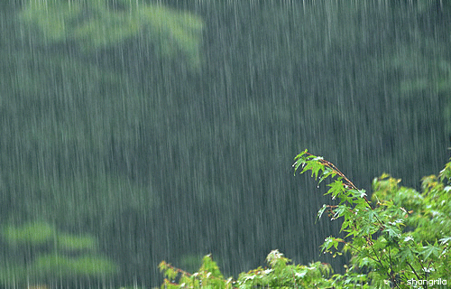 【神都诗社】龙门诗苑043期《秋雨》（图3）