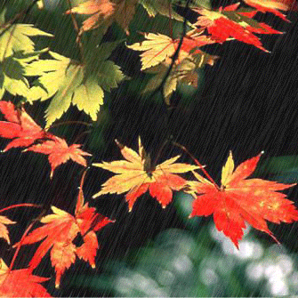 【神都诗社】龙门诗苑043期《秋雨》（图7）