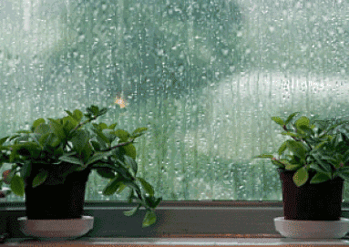【神都诗社】龙门诗苑043期《秋雨》（图5）
