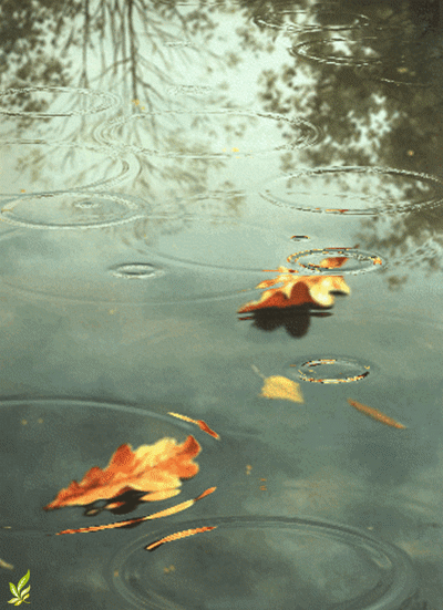 【神都诗社】龙门诗苑043期《秋雨》（图8）