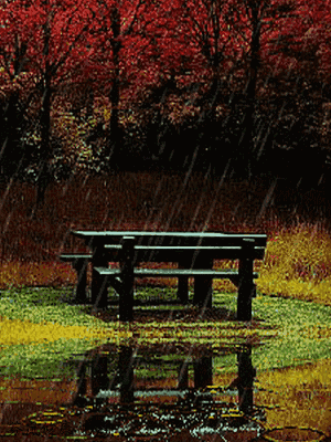 【神都诗社】龙门诗苑043期《秋雨》（图21）
