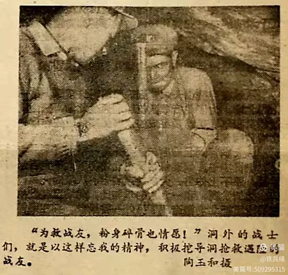 图片4 图片4