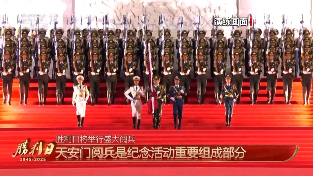 【强军战歌】王世华//阅兵式[纪念中国人民抗日战争暨反法西斯战争胜利80周年]作品展（图4）