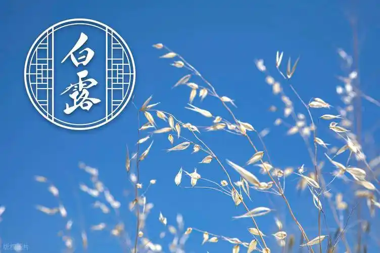 白露‖巴彦诗协【984】（图3）
