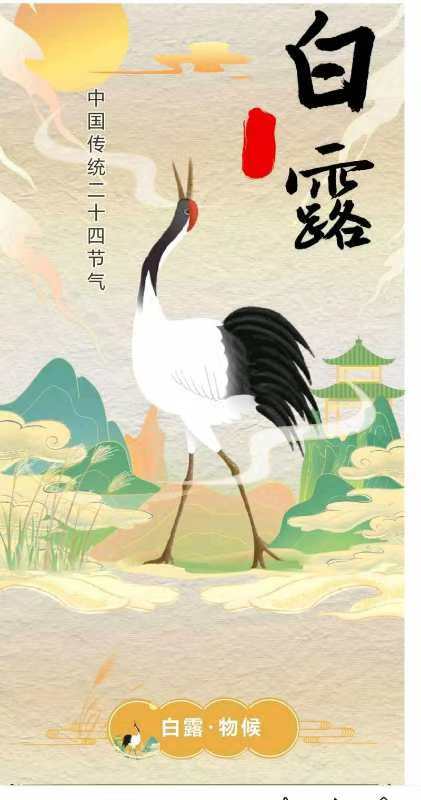 【荣耀中国】深圳分社白露专刊隆重推荐(图3)