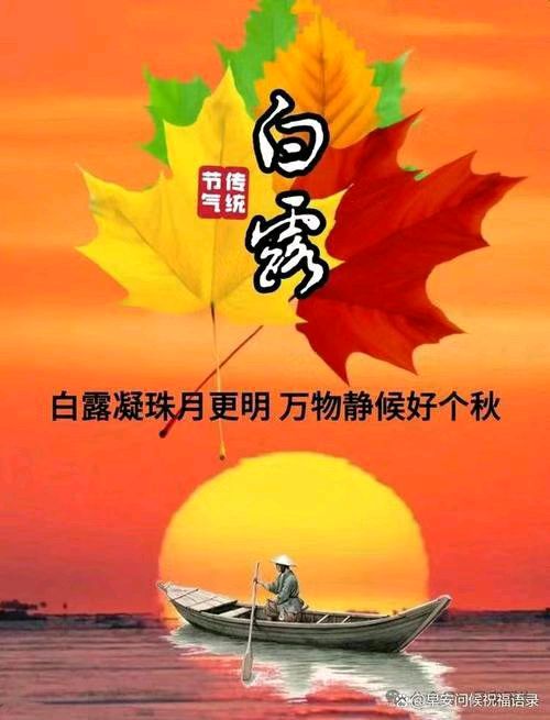【荣耀中国】深圳分社白露专刊隆重推荐(图9)