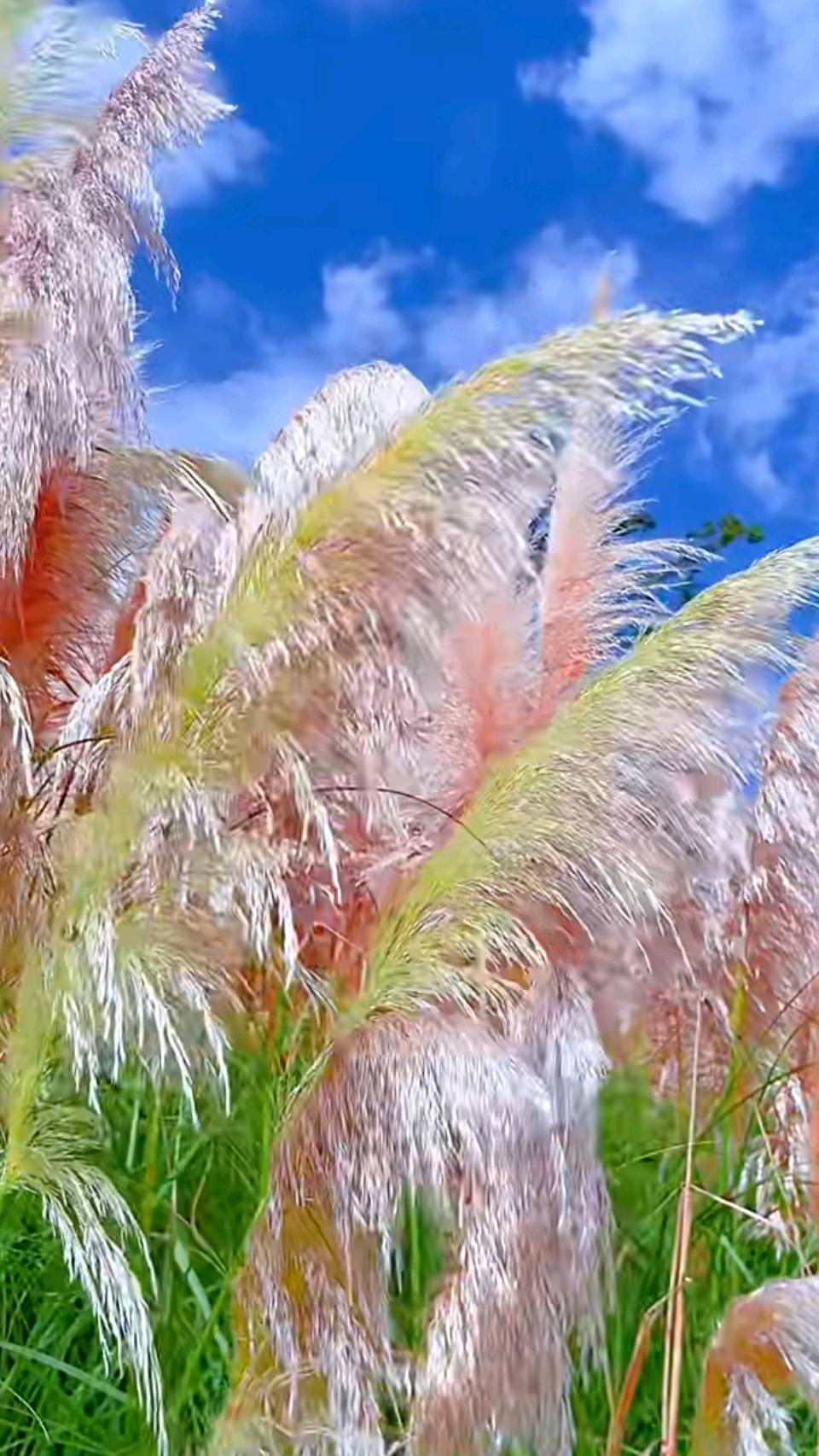 请欣赏李胜峰老师诗词曲三十五首(图9)