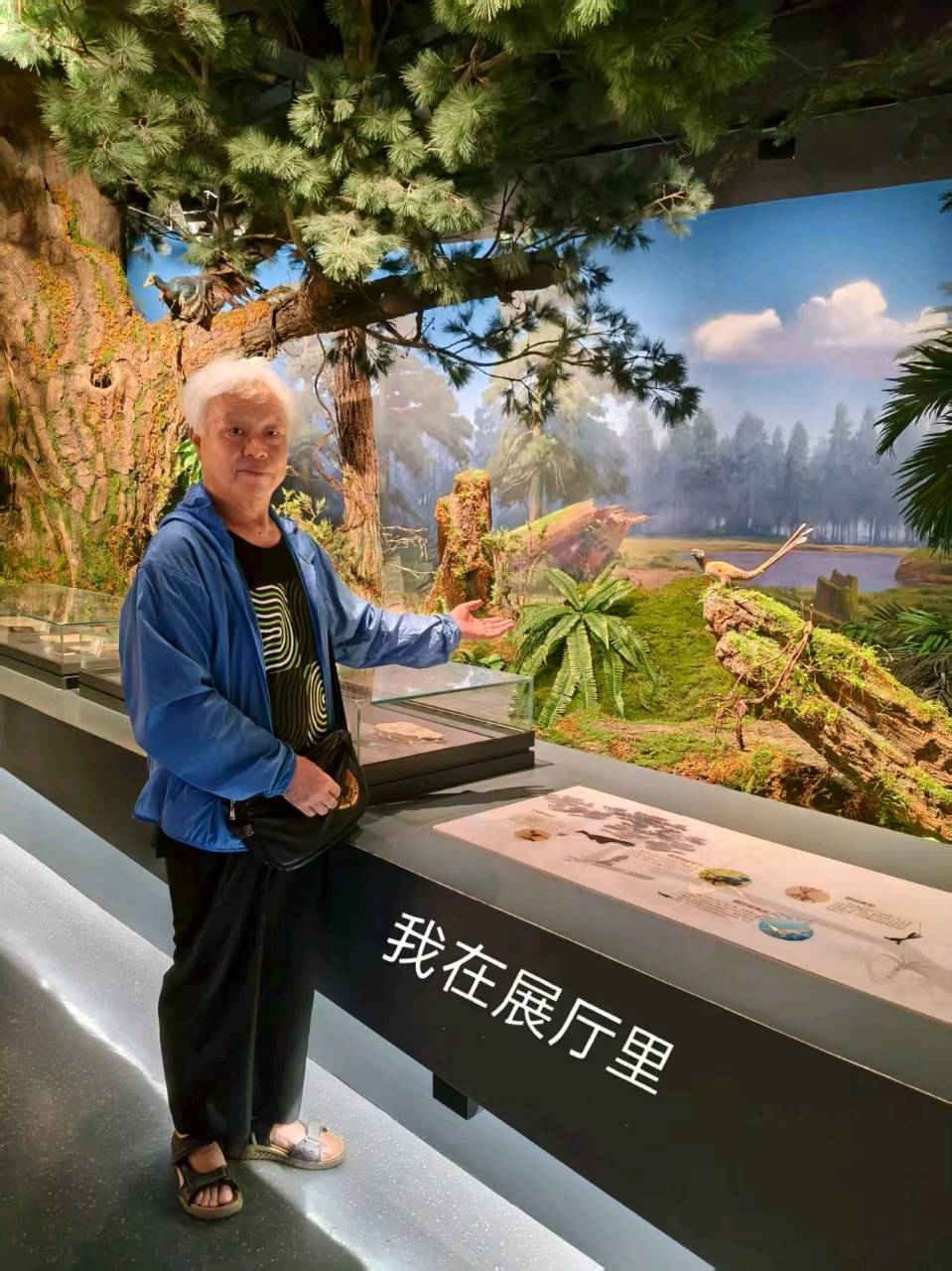 随笔‖内蒙古自然博物馆（上）内蒙古旅游之五 作者‖刘玉伟（图5）