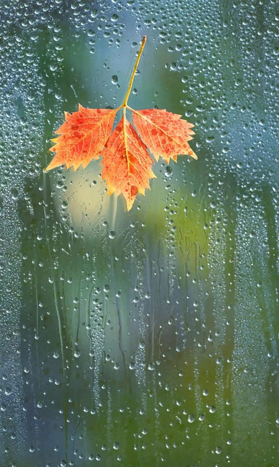秋雨，一串孤独的诗行～诗◑马文同（图10）