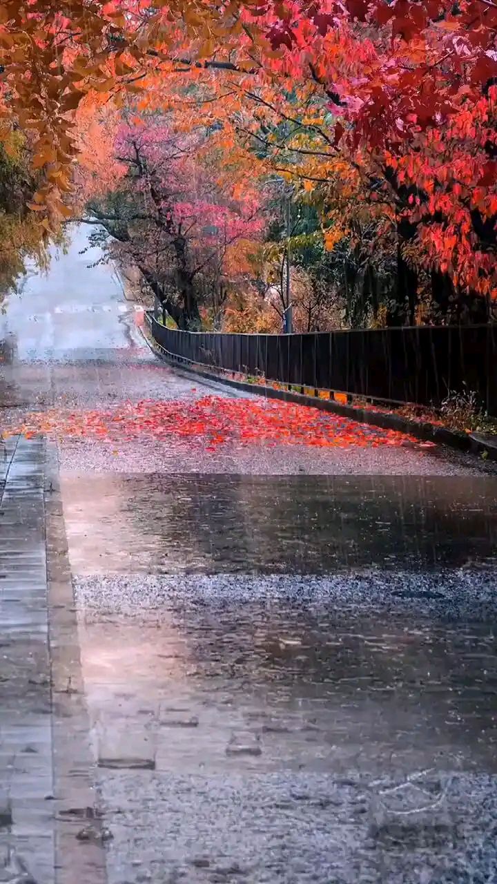 秋雨，一串孤独的诗行～诗◑马文同（图14）