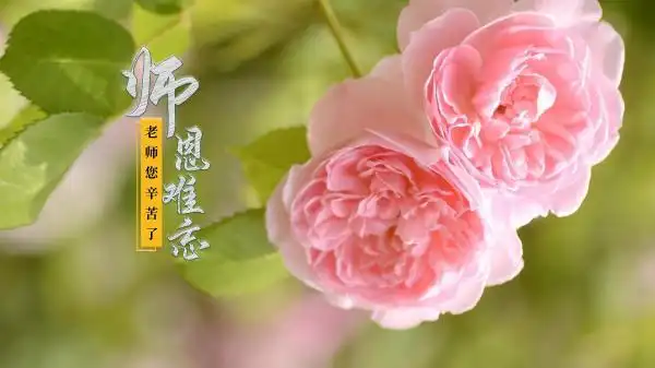 临江仙·教师节 作者:刘晁林（图2）