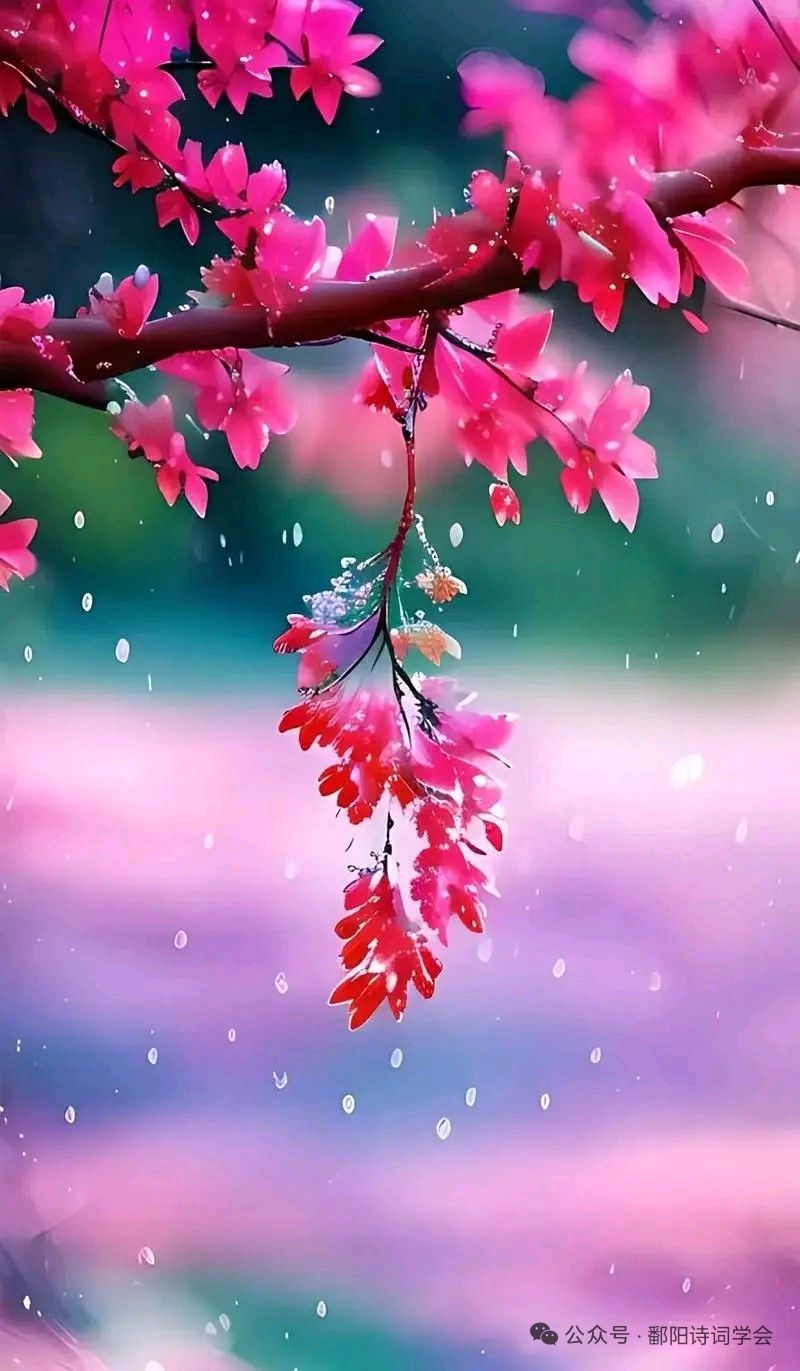 《七绝 • 教师节抒怀》外一首/杨子钦（河南）