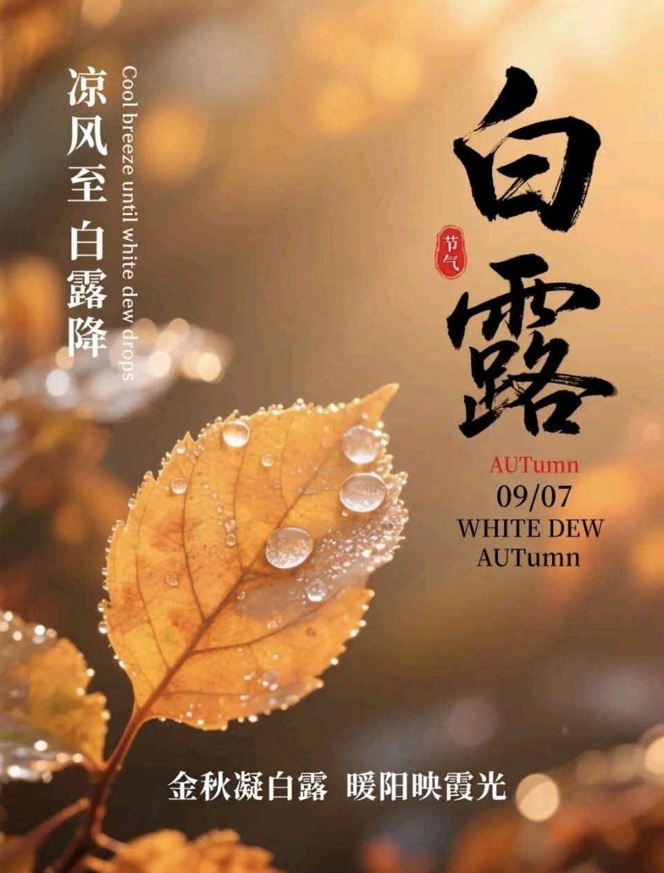 白露/作者：崔和平（图5）