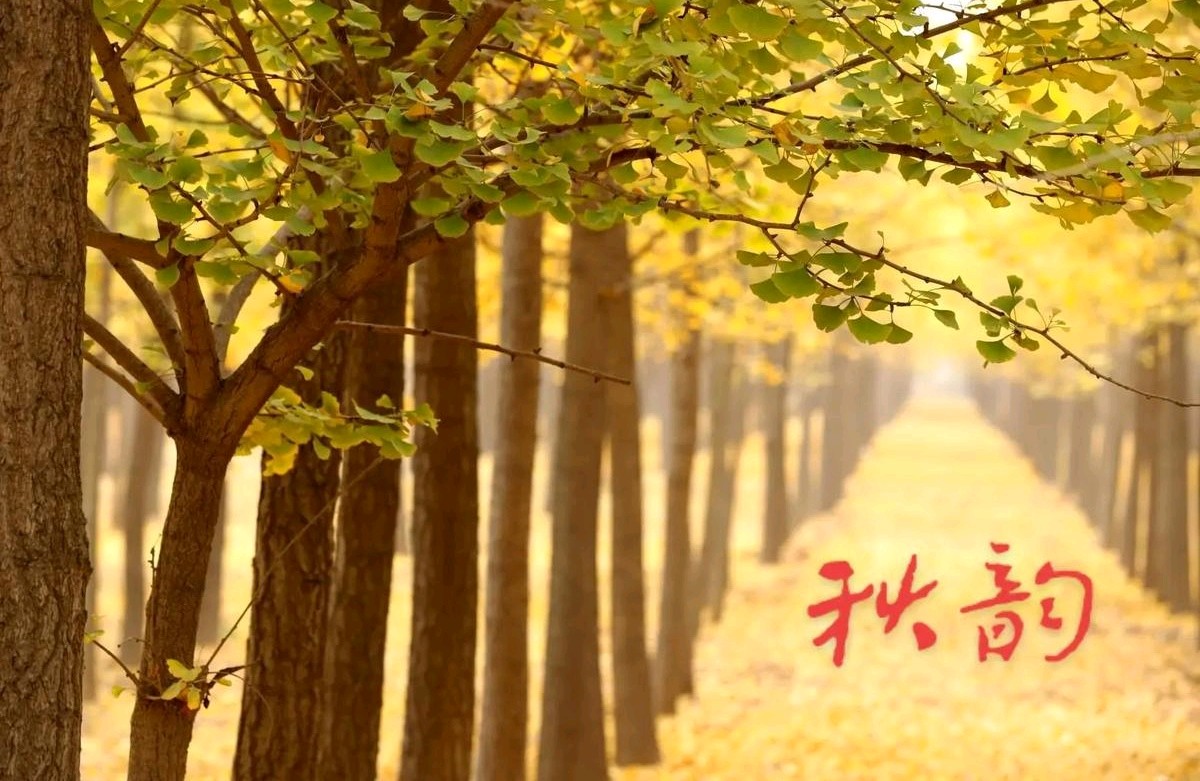 山水依恋 秋韵正酣（组合）诗◑于兴庆（图15）