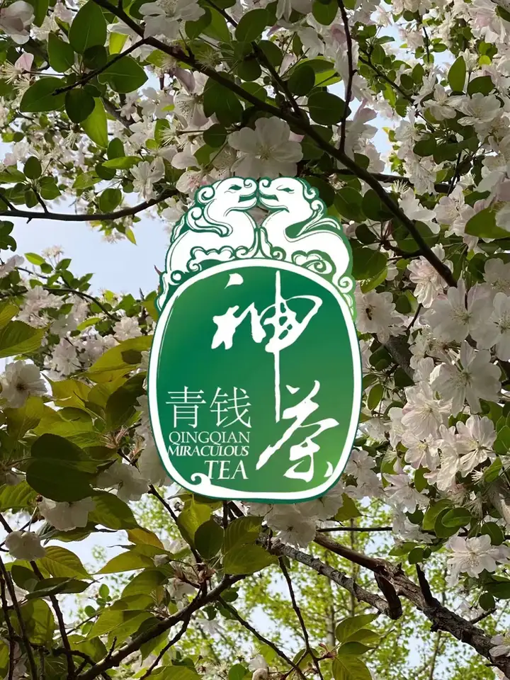 当代诗人张永顺为修水神茶题诗