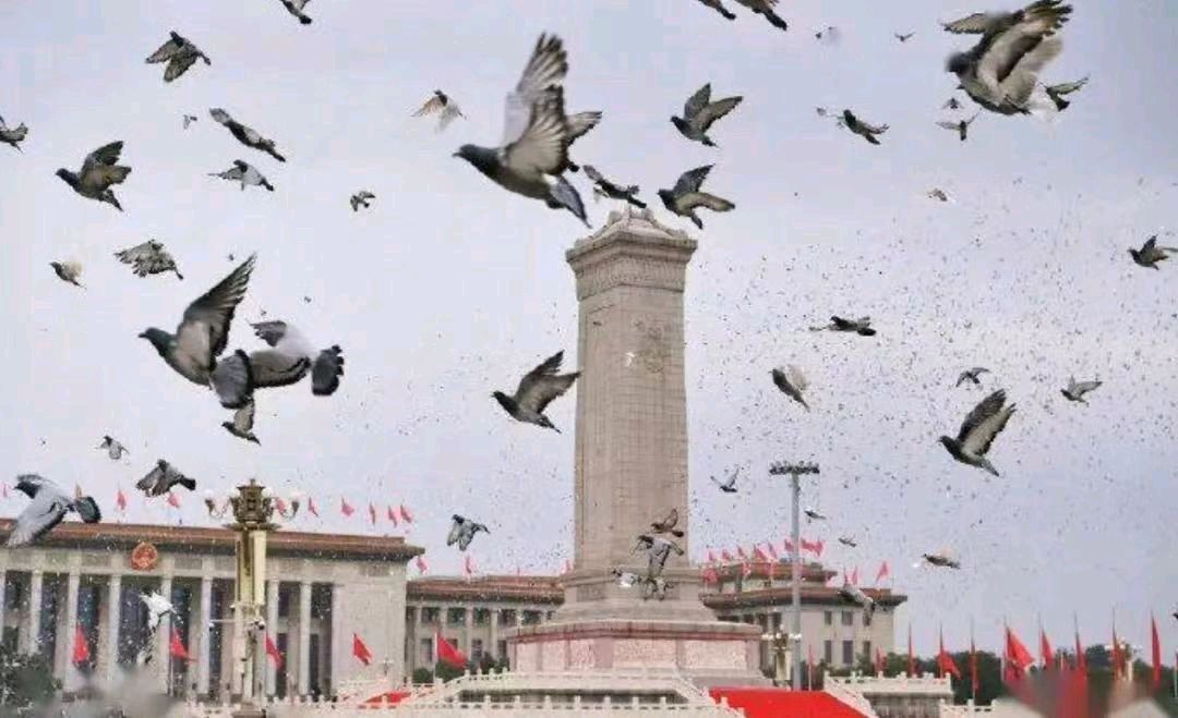 【荣耀中国】渔歌子•金秋独自乐夕阳（张志和体）词林正韵文/南山翁（图4）