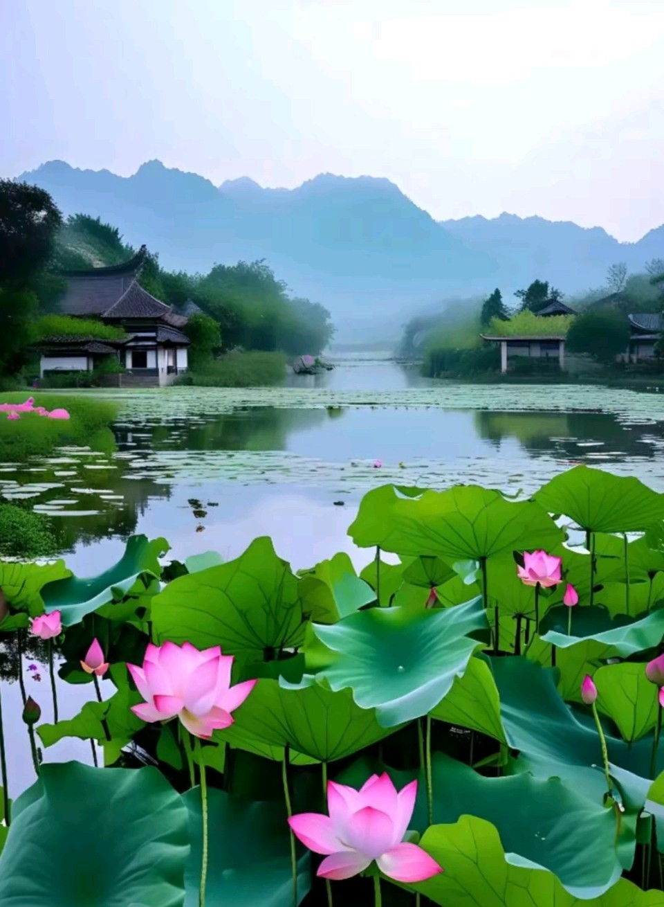 【新山东文学社】《在水一方,水在你不在》作者/童华 主播/红叶(图3)