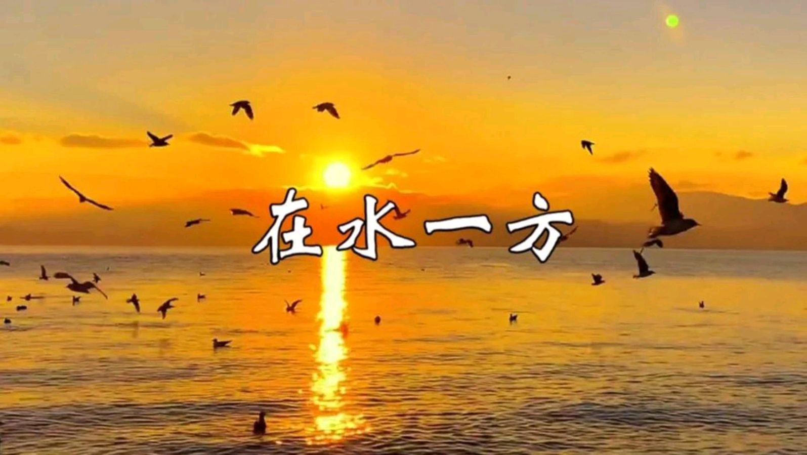 【新山东文学社】《在水一方,水在你不在》作者/童华 主播/红叶(图5)