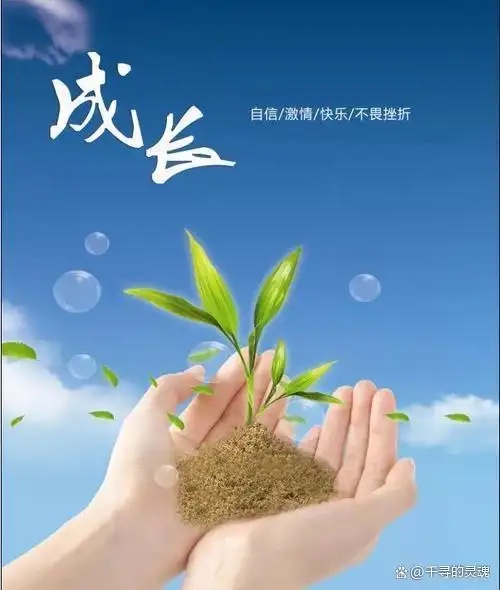 ［佳作集锦］成长//文/平台5诗友