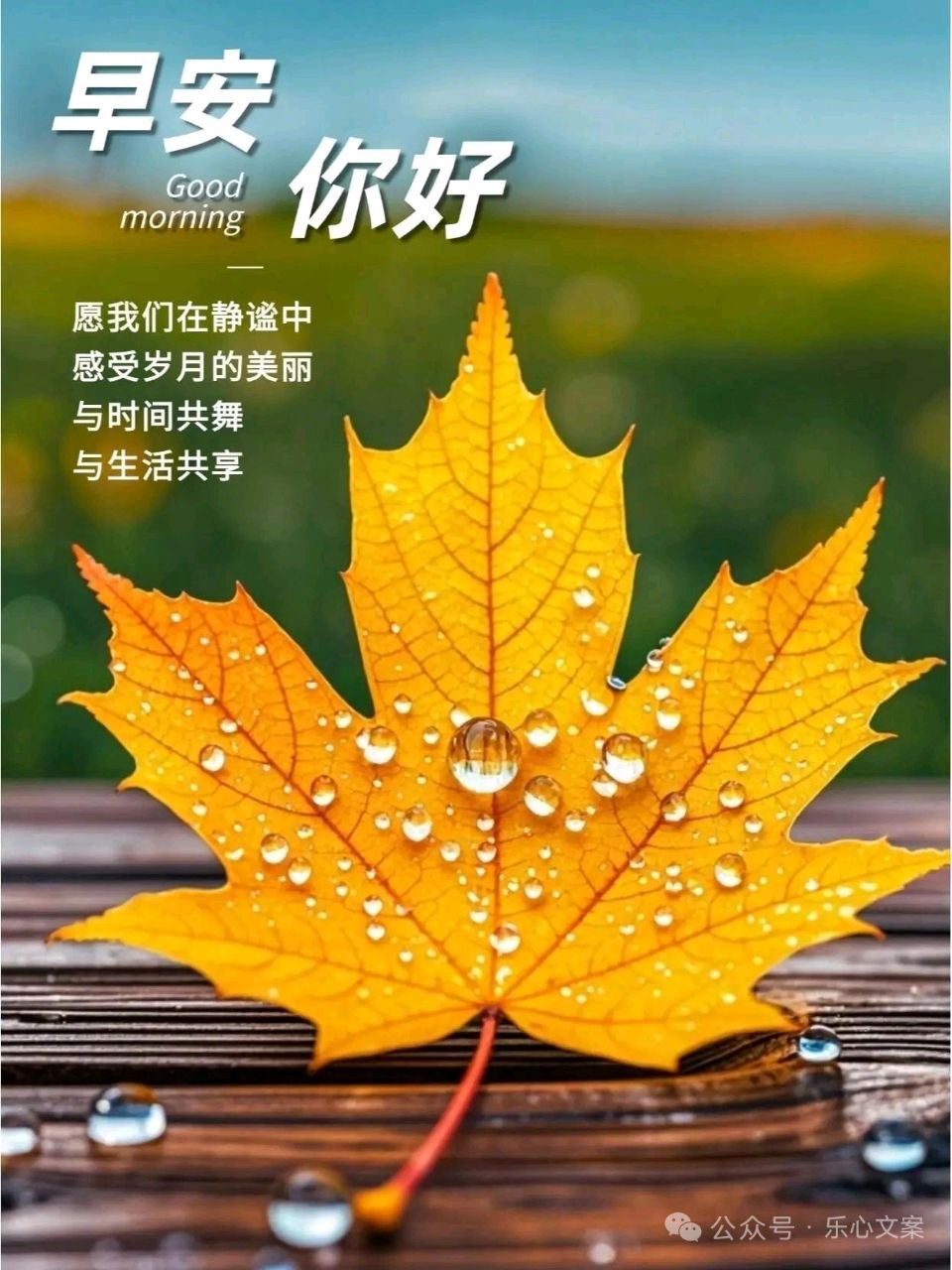 《获年度优秀奖诗人许彦华新诗优选》/中华诗艺社黑龙江分社【2025第169期】（图4）