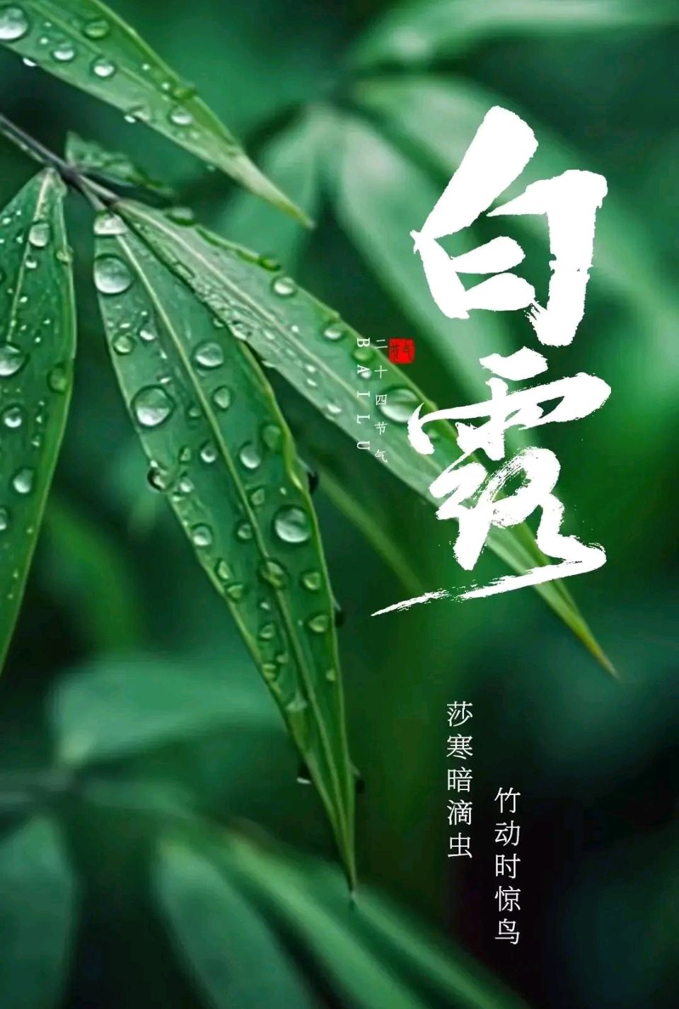 获年度诗词创作优秀奖诗人刘光华(重庆野布)格律诗优选/中华诗艺社黑龙江分社【2025第168期】（图4）
