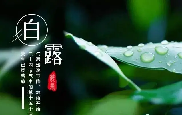 获年度诗词创作优秀奖诗人田贺词优选/中华诗艺社黑龙江分社【2025第171期】（图7）