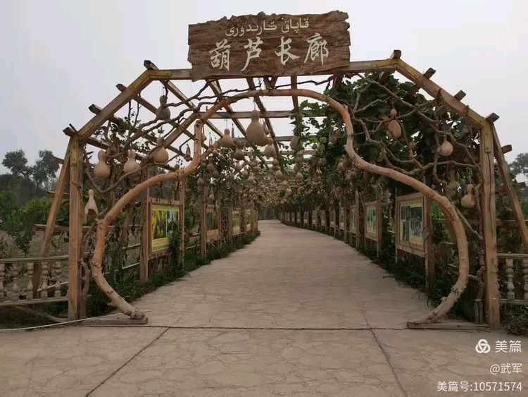 【重磅推出】杨武军//环塔南疆八日游记(图16)