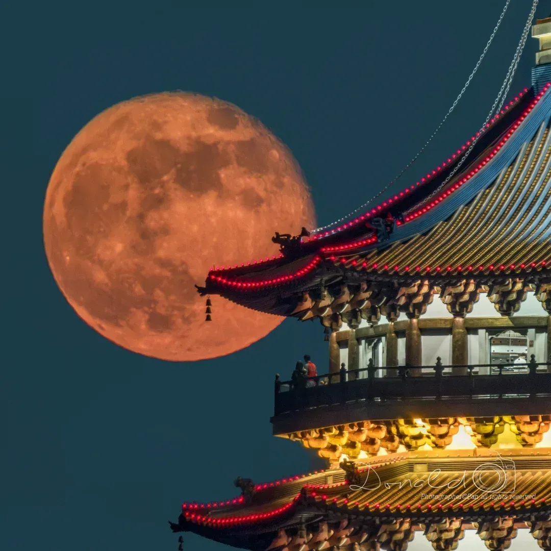 【中国雨巷文学社】北京头条 第2332期 现代诗《今夜,月亮是中国的灯》作者:丝雨 - 西安(图5)