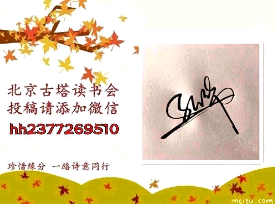 聆听 ‖ 白雪朗诵《红豆杉颂》作者/牟新宇
