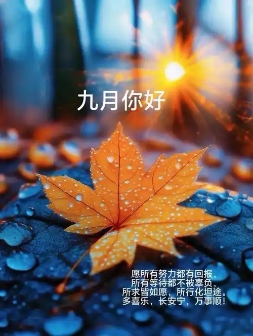 山谷幽兰朗诵胡世健的诗：《新疆的夏夜》（外一首）海外头条（图6）