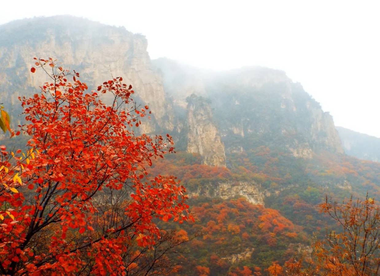 满庭芳•白露晶滢（晏几道体） 作者:王省南（浙江杭州）（图2）