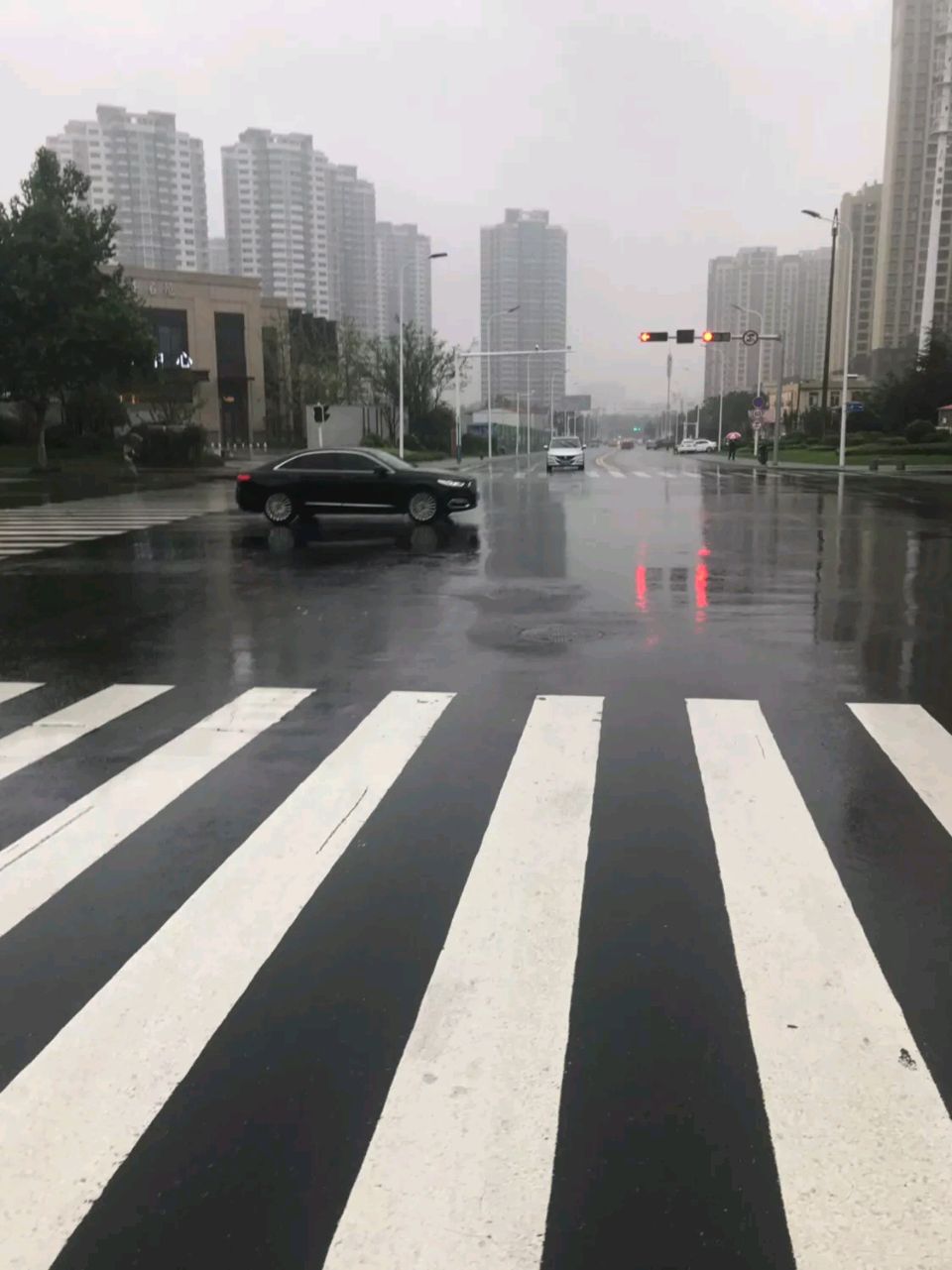 【风雅诗词】律.《金秋暴雨》 丰茂春作.山东（图4）