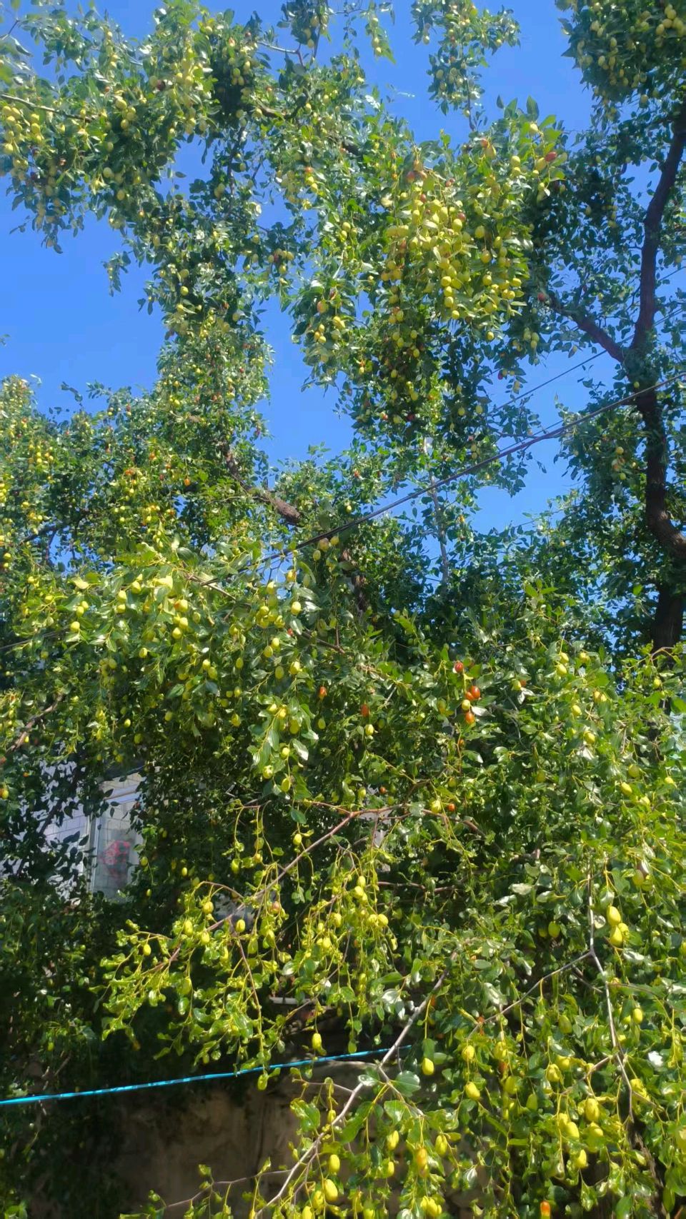 【荣耀中国】山村秋色李海洋（图3）