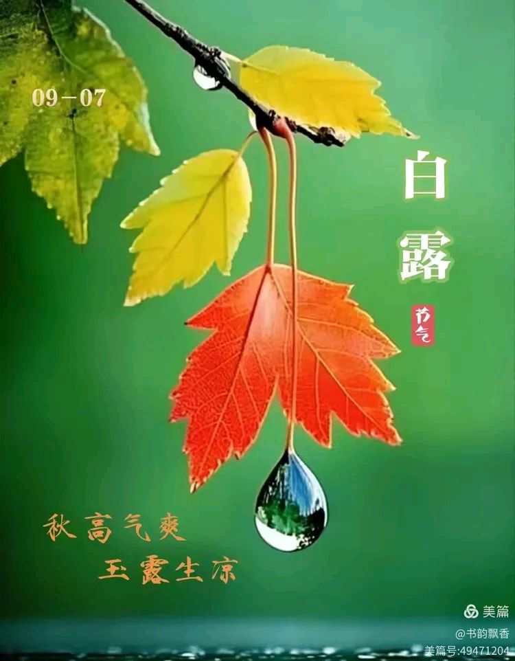 【神州源流诗苑】第1408期优秀近体诗周刊（图8）