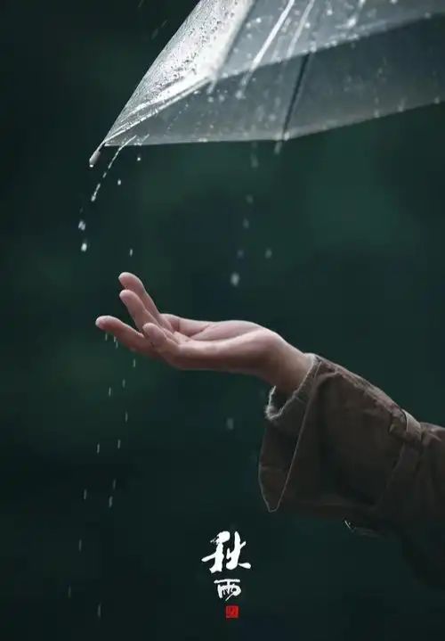 【新山东文学社】《秋雨吟(两首)》作者/童华 主播/竹林听雨(图3)