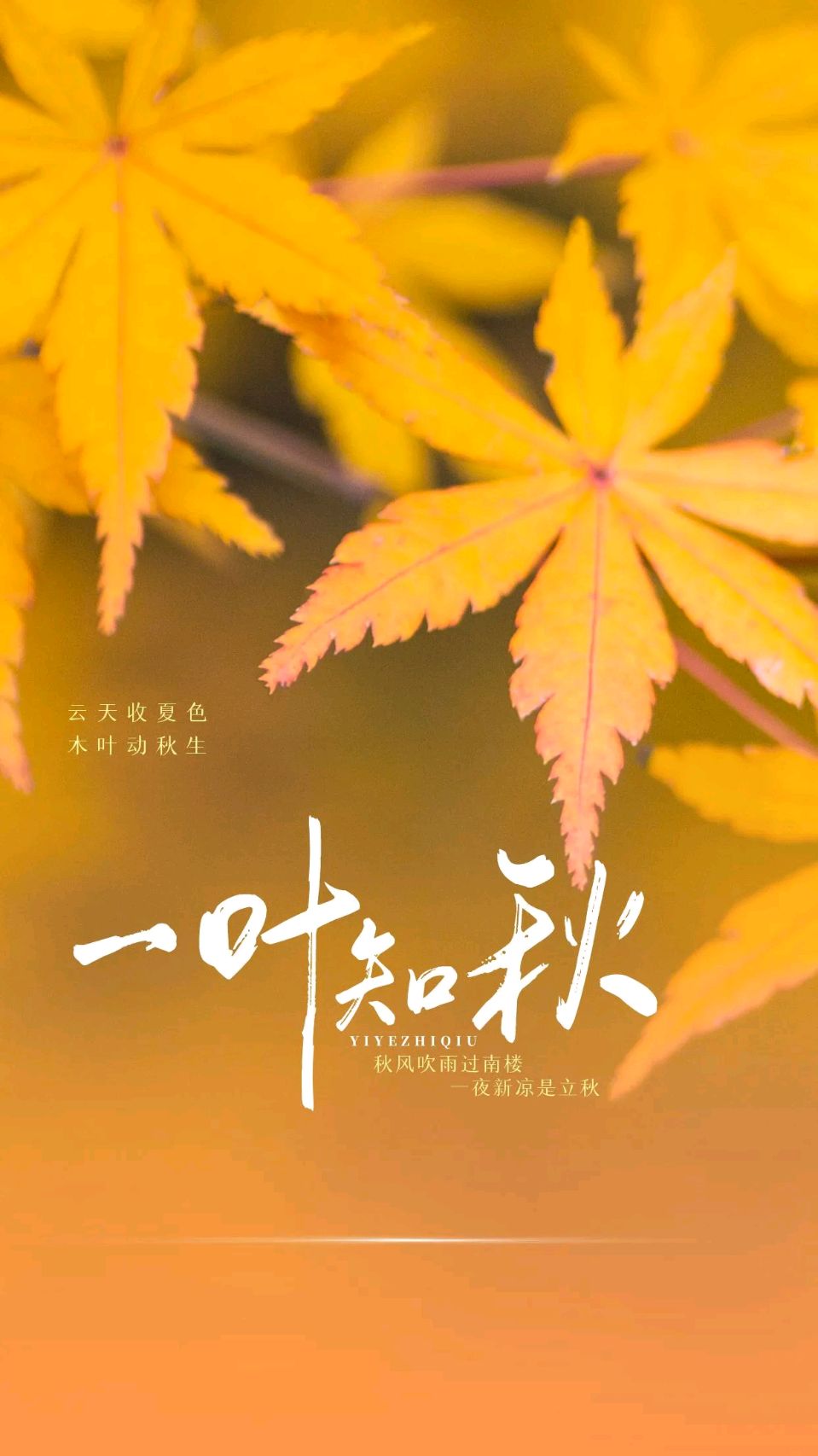 【荣耀中国】深圳分社五绝 忽然今半秋文/南山翁(图3)