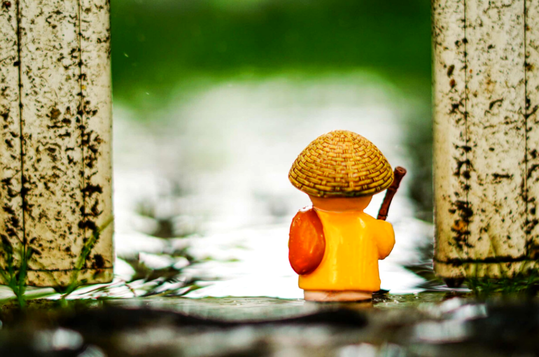 风雨独行客