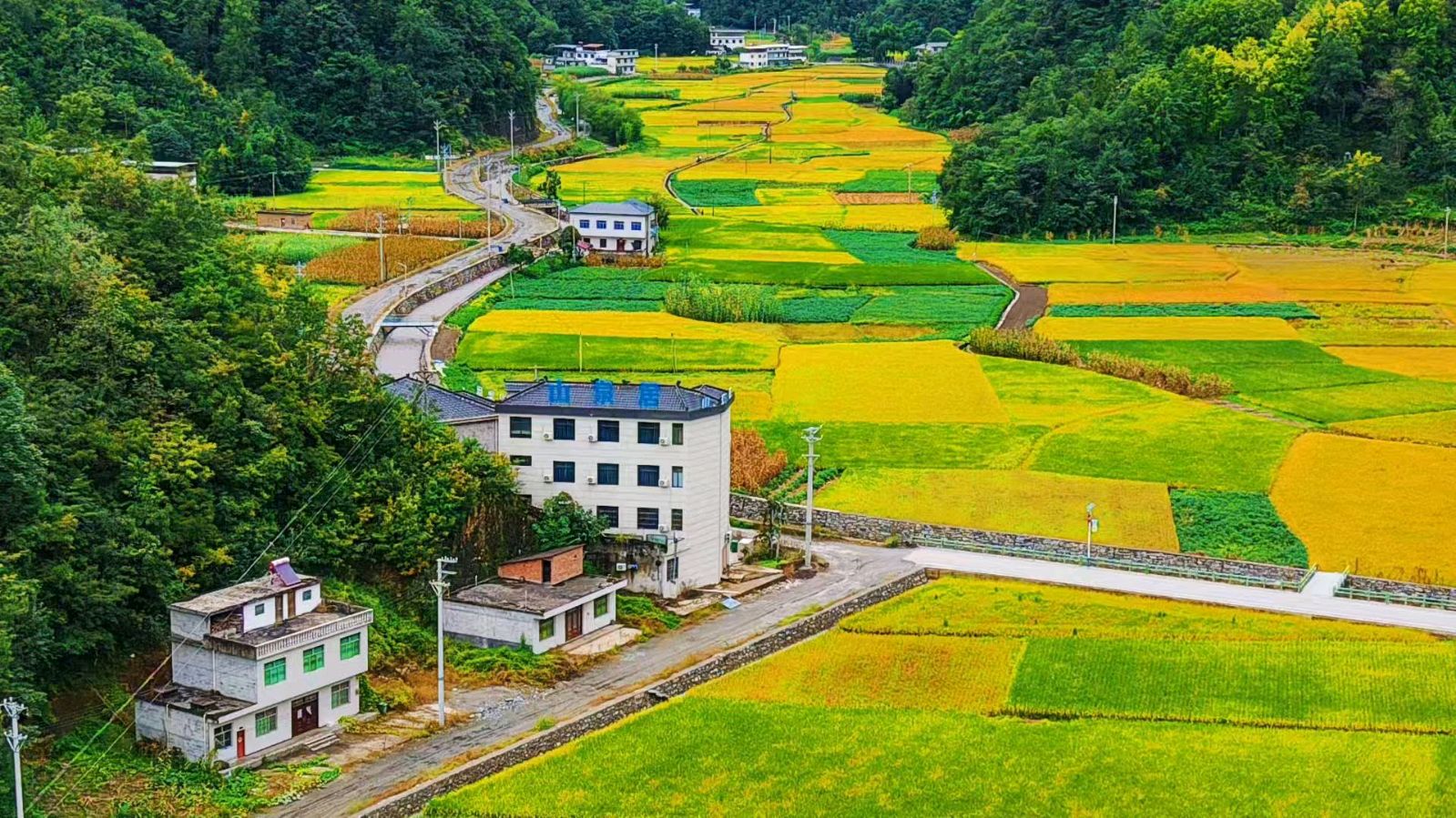 【荣耀中国】七律.季秋李德政（安康）（图4）