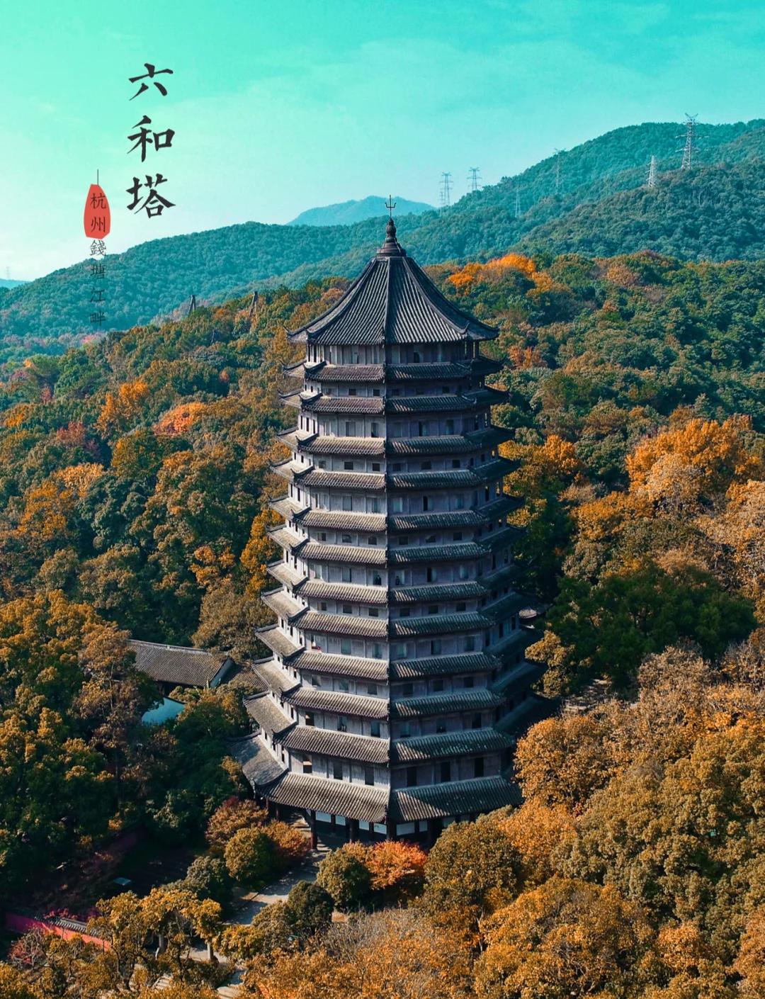 【中国雨巷文学社】北京头条 第2361期 现代诗《躺平,窗外黄菊花开了》作者:雨巷,朗诵:薄燕(图5)