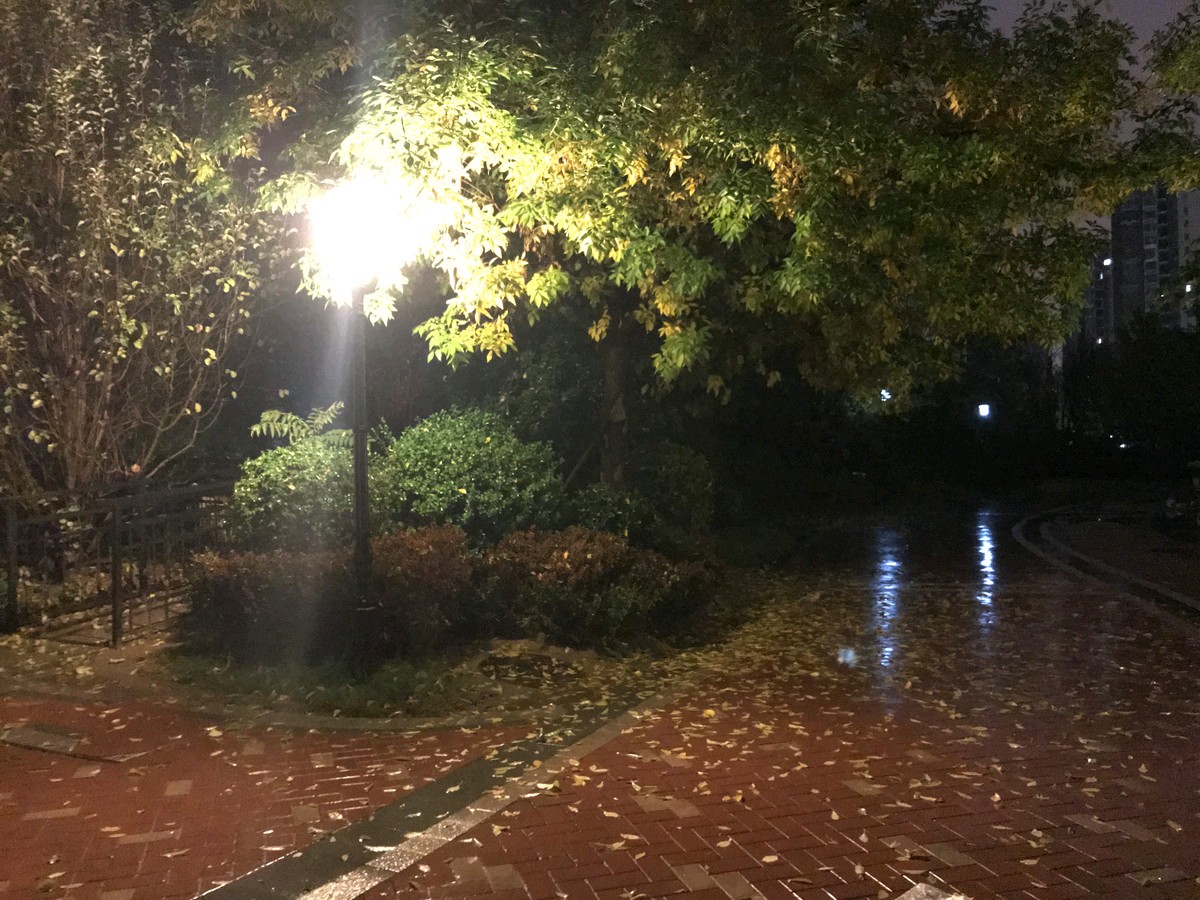 【荣耀中国】七律巜秋雨》徐贤（上海）（图3）